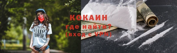 кокс Алексин