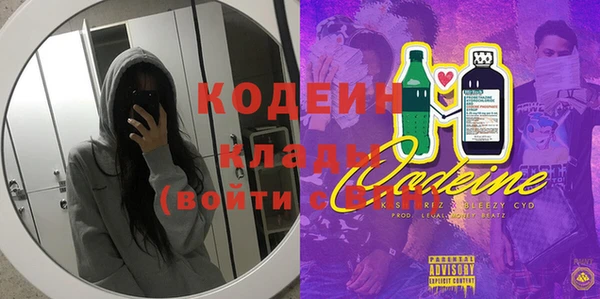 дживик Абаза