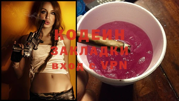 дживик Абаза
