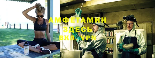 дживик Абаза