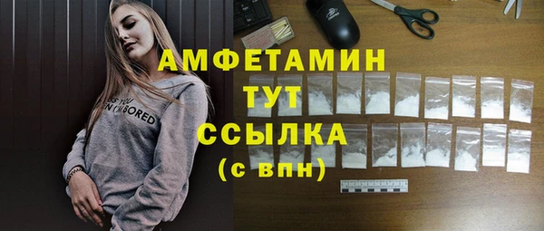дживик Абаза