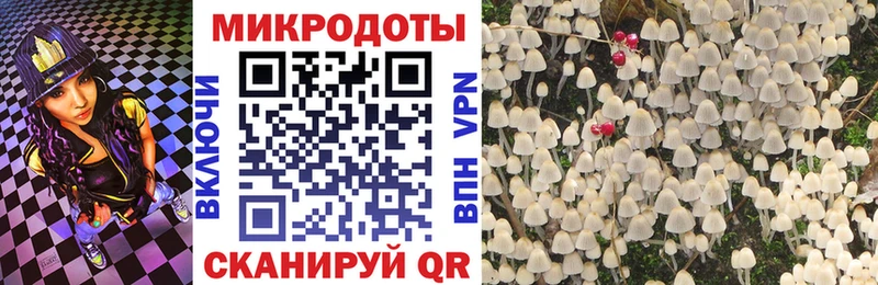 Псилоцибиновые грибы мицелий  купить  сайты  omg вход  Карабаш 